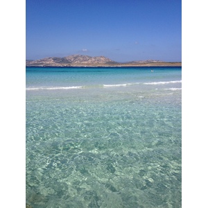 รูปถ่าย อิตาลี(Italy) ซาร์ดิเนีย(Sardinia) แหลมกาโปเดลฟัลโกเน(Capo del Falcone) 2015-06 73
