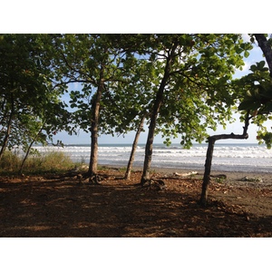 รูปถ่าย คอสตาริกา(Costa Rica) โดมินิกัล(Dominical) 2015-03 45