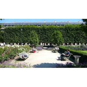 รูปถ่าย ฝรั่งเศส(France) ปารีส(Paris) พระราชวังปาแลรัวยาล(Palais Royal) 2007-08 107