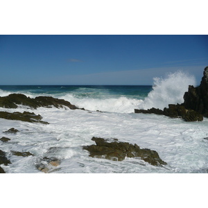 รูปถ่าย แอฟริกาใต้(South Africa) อุทยานแห่งชาติซิตซิคัมมา(Tsitsikamma National Park) 2008-09 34