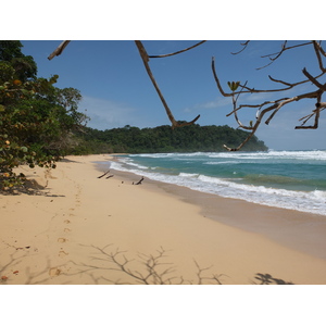 รูปถ่าย ปานามา(Panama) เกาะบาสติเมนโตส(Bastimentos) 2015-03 83