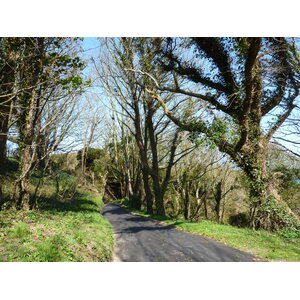 รูปถ่าย เจอร์ซีย์(Jersey) 2010-04 160