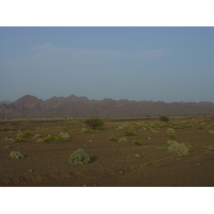 รูปถ่าย โอมาน(Oman) จากบูไมิไปถนนมาฮาดา(Buraimi to Mahada road) 2005-03 24