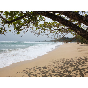 รูปถ่าย ปานามา(Panama) เกาะบาสติเมนโตส(Bastimentos) 2015-03 90