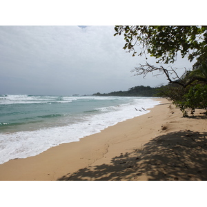 รูปถ่าย ปานามา(Panama) เกาะบาสติเมนโตส(Bastimentos) 2015-03 81