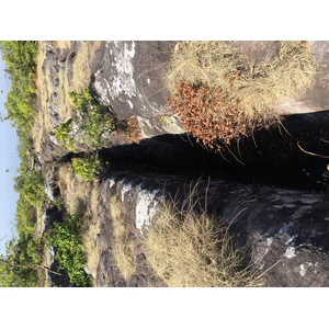 รูปถ่าย ไทย(Thailand) อุทยานแห่งชาติภูหินร่องกล้า(Phu Hin Rong Kla National Park) 2014-12 43