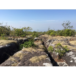 รูปถ่าย ไทย(Thailand) อุทยานแห่งชาติภูหินร่องกล้า(Phu Hin Rong Kla National Park) 2014-12 39