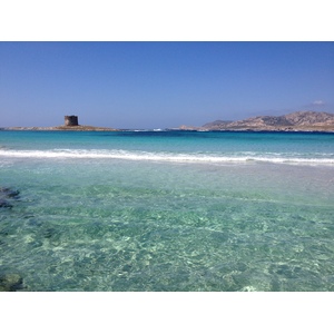 รูปถ่าย อิตาลี(Italy) ซาร์ดิเนีย(Sardinia) แหลมกาโปเดลฟัลโกเน(Capo del Falcone) 2015-06 14