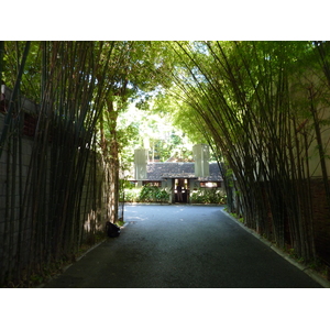 รูปถ่าย ไทย(Thailand) เชียงใหม่(Chiang Mai) ถนนราชดำเนิน(Rachadamnoen road) 2009-12 31