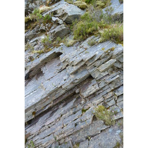 รูปถ่าย อังกฤษ(United Kingdom) เวสเตอร์รอสส์(Wester Ross) 2011-07 112