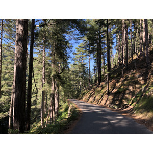 รูปถ่าย ฝรั่งเศส(France) คอร์สิคา(Corsica) หุบเขาลาเรสโตนีกา(La Restonica) 2020-07 32