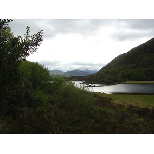 รูปถ่าย ไอร์แลนด์(Ireland) เคอร์รี่(Kerry) สวนสาธารณะคิลลาร์นีย์เนชั่นเนล(Killarney National Park) 2004-05 30