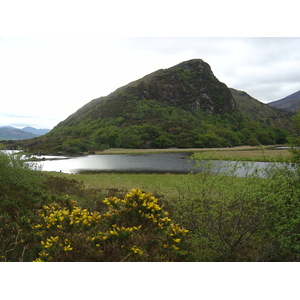 รูปถ่าย ไอร์แลนด์(Ireland) เคอร์รี่(Kerry) สวนสาธารณะคิลลาร์นีย์เนชั่นเนล(Killarney National Park) 2004-05 35