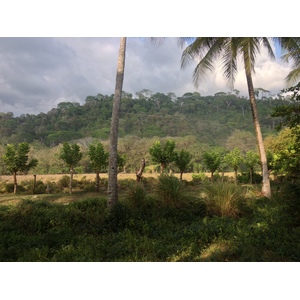 รูปถ่าย คอสตาริกา(Costa Rica) โดมินิกัล(Dominical) 2015-03 96