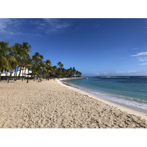 รูปถ่าย กวาเดอลูป(Guadeloupe) หาดลาการาแวล(La Caravelle Beach) 2021-02 30