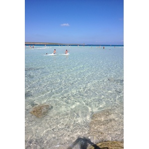 รูปถ่าย อิตาลี(Italy) ซาร์ดิเนีย(Sardinia) แหลมกาโปเดลฟัลโกเน(Capo del Falcone) 2015-06 54