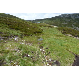 รูปถ่าย อังกฤษ(United Kingdom) อุทยานแห่งชาติแคร์นกอร์มส์(Cairngorms National Park) 2011-07 76