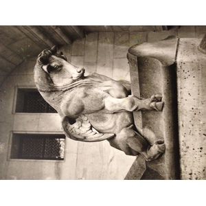 รูปถ่าย ฝรั่งเศส(France) ปีแยร์ฟง(Pierrefonds) 2014-05 130