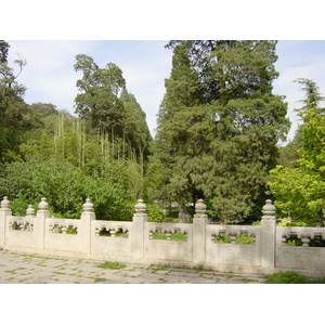 รูปถ่าย จีน(China) ปักกิ่ง(Beijing) สวนสาธารณะจิ่งซาน(Beihai Park) 2002-05 13