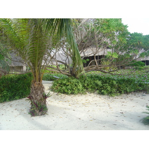รูปถ่าย เฟรนช์โพลี่นีเซีย(Polynesia) โรงแรมเลอเมอริเดียน โบราโบรา(Meridien Bora Bora Hotel) 2006-04 136
