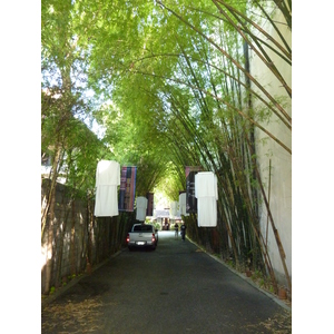 รูปถ่าย ไทย(Thailand) เชียงใหม่(Chiang Mai) ถนนราชดำเนิน(Rachadamnoen road) 2009-12 36