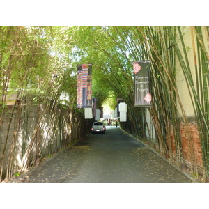 รูปถ่าย ไทย(Thailand) เชียงใหม่(Chiang Mai) ถนนราชดำเนิน(Rachadamnoen road) 2009-12 35