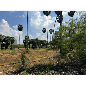 รูปถ่าย ไทย(Thailand) พัทยา(Pattaya) 2023-12 14