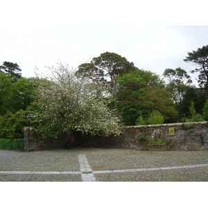 รูปถ่าย ไอร์แลนด์(Ireland) เคอร์รี่(Kerry) สวนสาธารณะคิลลาร์นีย์เนชั่นเนล(Killarney National Park) บ้านมัครอส(Muckross House) 2004-05 43