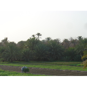 รูปถ่าย โอมาน(Oman) มาฮาดา(Mahada) 2005-03 1