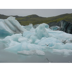 รูปถ่าย ไอซ์แลนด์(Iceland) โจกูลซาร์ลง(Jokulsarlon) 2003-06 29