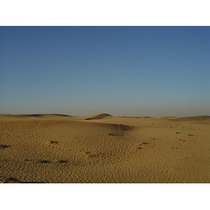 รูปถ่าย สหรัฐอาหรับเอมิเรตส์(United Arab Emirates) จากดูไบไปถนนอัลอิน(Dubai to Al Ain road) 2005-03 40