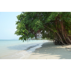 รูปถ่าย ไทย(Thailand) เกาะช้าง(Ko Chang) หาดคลองพร้าว(Klong Prao beach) 2011-02 89