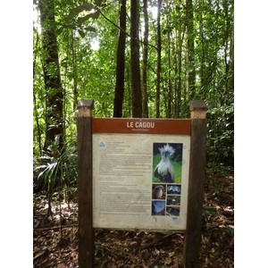 รูปถ่าย นิวแคลิโดเนีย(New Caledonia) อุทยานริเวียร์เบลอ(Parc de la Riviere Bleue) โรงแรมเลอกร็องกาโอรี(Le Grand Kaori) 2010-05 27
