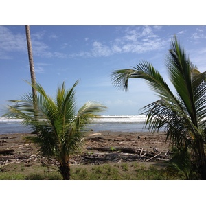 รูปถ่าย คอสตาริกา(Costa Rica) จากลีมอนไปซีกีร์เรส(Limon to Siquirres) 2015-03 14