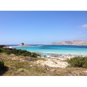 รูปถ่าย อิตาลี(Italy) ซาร์ดิเนีย(Sardinia) แหลมกาโปเดลฟัลโกเน(Capo del Falcone) 2015-06 5