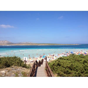 รูปถ่าย อิตาลี(Italy) ซาร์ดิเนีย(Sardinia) แหลมกาโปเดลฟัลโกเน(Capo del Falcone) 2015-06 2