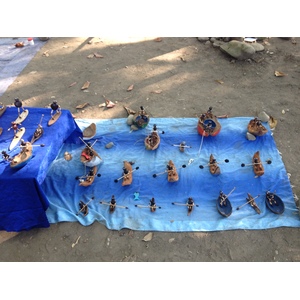 รูปถ่าย คอสตาริกา(Costa Rica) โดมินิกัล(Dominical) 2015-03 117
