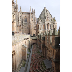 รูปถ่าย สเปน(Spain) ซาลามังกา(Salamanca) 2013-01 121