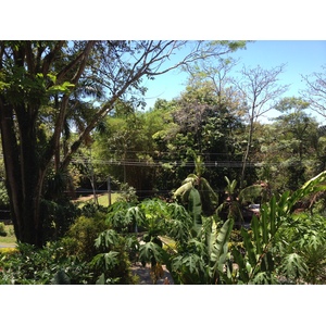 รูปถ่าย คอสตาริกา(Costa Rica) มานวยล์อันโตนีโอ(Manuel Antonio) 2015-03 73