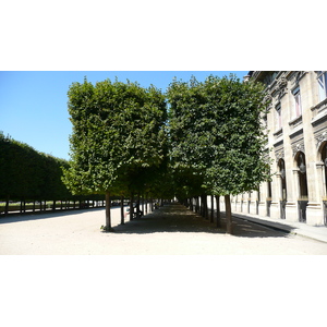 รูปถ่าย ฝรั่งเศส(France) ปารีส(Paris) พระราชวังปาแลรัวยาล(Palais Royal) 2007-08 27
