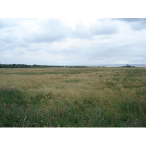 รูปถ่าย รัสเซีย(Russia) จากยาโรสลาฟล์ไปเซนต์ปีเตอร์สเบิร์ก(From Yaroslavl to St Petersburg) 2006-07 32