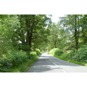 รูปถ่าย อังกฤษ(United Kingdom) ทรอสซักส์(The Trossachs) 2011-07 0