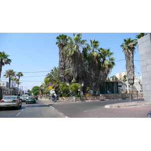 รูปถ่าย อิสราเอล(Israel) เทลอาวีฟ(Tel Aviv) ถนนอิบน์กบีรอล(Ibn Gvirol Street) 2007-06 65