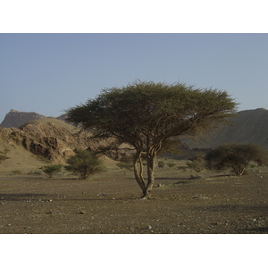รูปถ่าย โอมาน(Oman) จากบูไมิไปถนนมาฮาดา(Buraimi to Mahada road) 2005-03 8