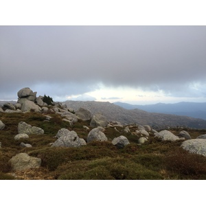 รูปถ่าย ฝรั่งเศส(France) คอร์สิคา(Corsica) อัลตาร็อกกา(Alta Rocca) 2017-09 32