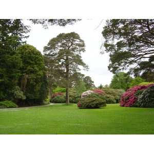 รูปถ่าย ไอร์แลนด์(Ireland) เคอร์รี่(Kerry) สวนสาธารณะคิลลาร์นีย์เนชั่นเนล(Killarney National Park) บ้านมัครอส(Muckross House) 2004-05 40