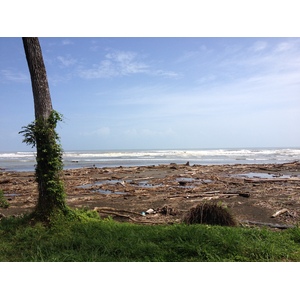 รูปถ่าย คอสตาริกา(Costa Rica) จากลีมอนไปซีกีร์เรส(Limon to Siquirres) 2015-03 15