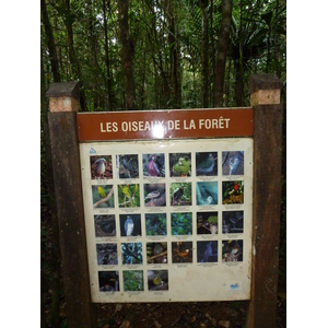 รูปถ่าย นิวแคลิโดเนีย(New Caledonia) อุทยานริเวียร์เบลอ(Parc de la Riviere Bleue) โรงแรมเลอกร็องกาโอรี(Le Grand Kaori) 2010-05 26