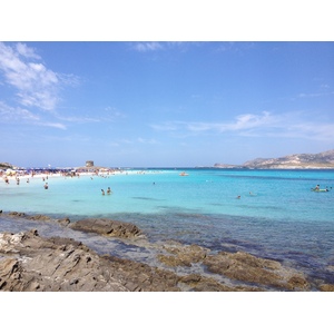รูปถ่าย อิตาลี(Italy) ซาร์ดิเนีย(Sardinia) แหลมกาโปเดลฟัลโกเน(Capo del Falcone) 2015-06 27