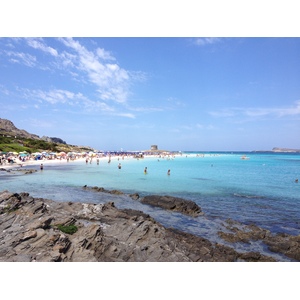 รูปถ่าย อิตาลี(Italy) ซาร์ดิเนีย(Sardinia) แหลมกาโปเดลฟัลโกเน(Capo del Falcone) 2015-06 11